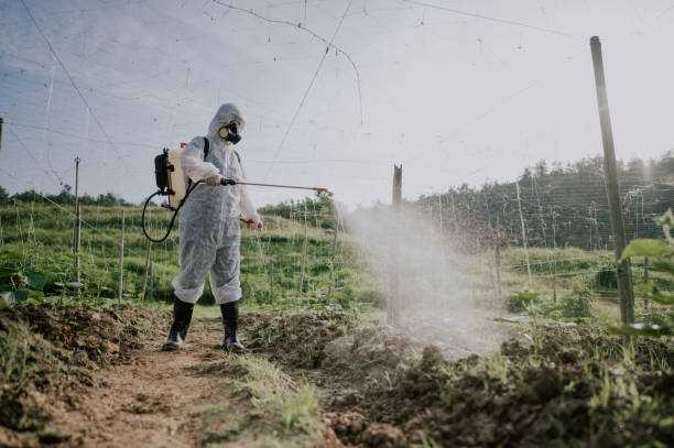 Best Pest Prevention Services  in Au Sable, MI