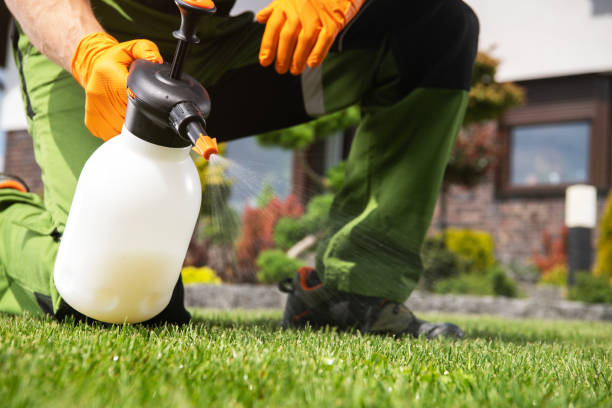 Best Wildlife Control Services  in Au Sable, MI