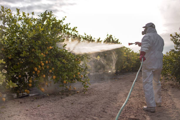Best Commercial Pest Control Services  in Au Sable, MI
