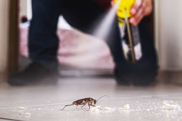 Best Pest Removal Services  in Au Sable, MI