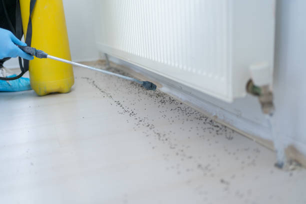 Best Best Pest Control Companies  in Au Sable, MI