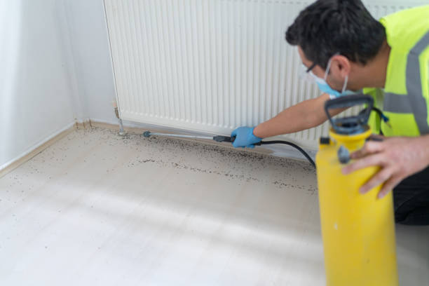 Trusted Au Sable, MI Pest Control Experts
