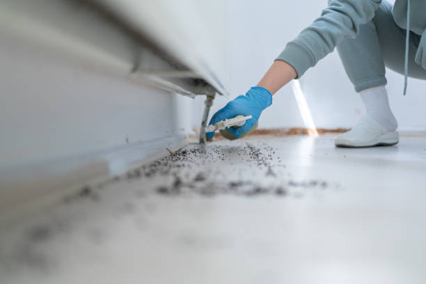 Best Residential Pest Control  in Au Sable, MI