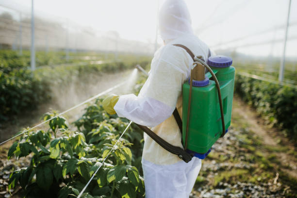 Best Pest Inspection Near Me  in Au Sable, MI